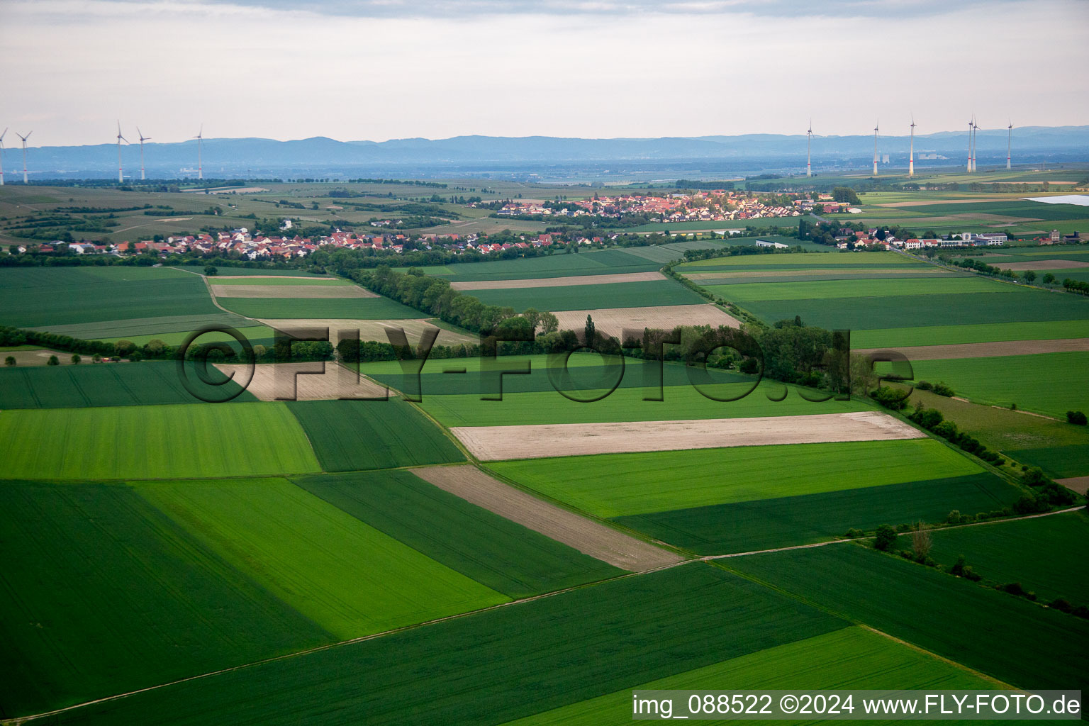 Vue oblique de Gau-Odernheim dans le département Rhénanie-Palatinat, Allemagne