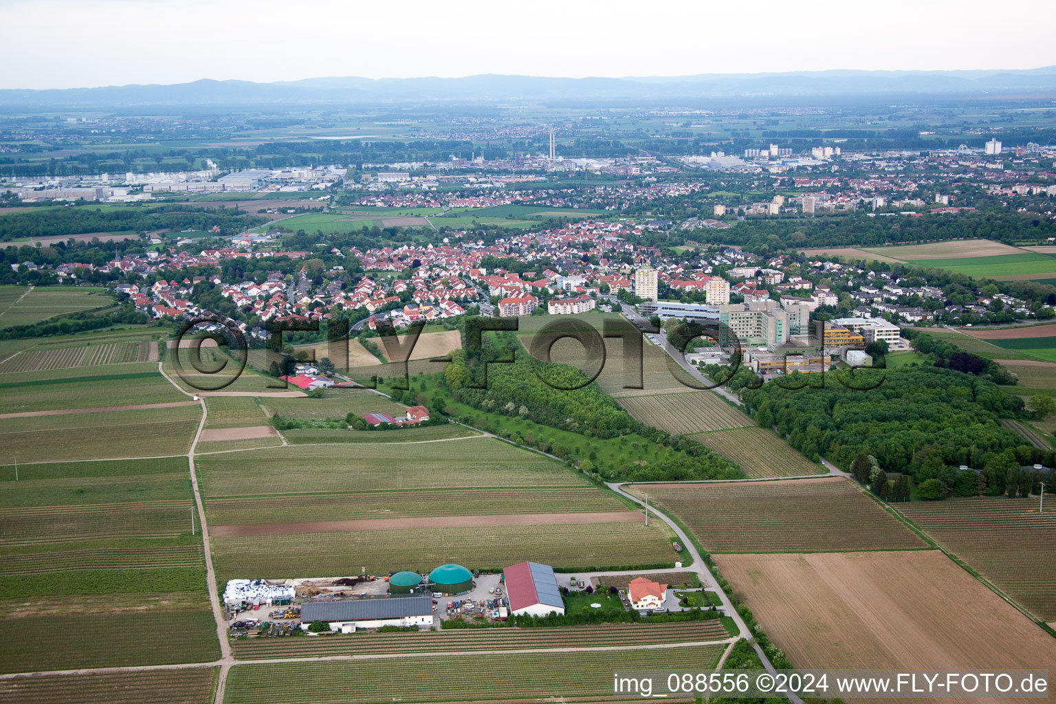 Vue aérienne de Quartier Herrnsheim in Worms dans le département Rhénanie-Palatinat, Allemagne