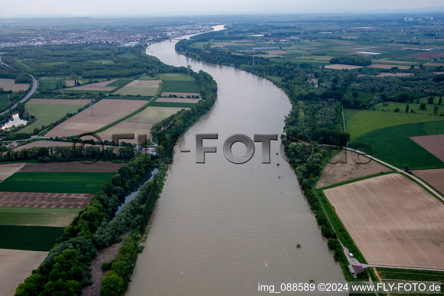 Vue d'oiseau de Petersau dans le département Rhénanie-Palatinat, Allemagne