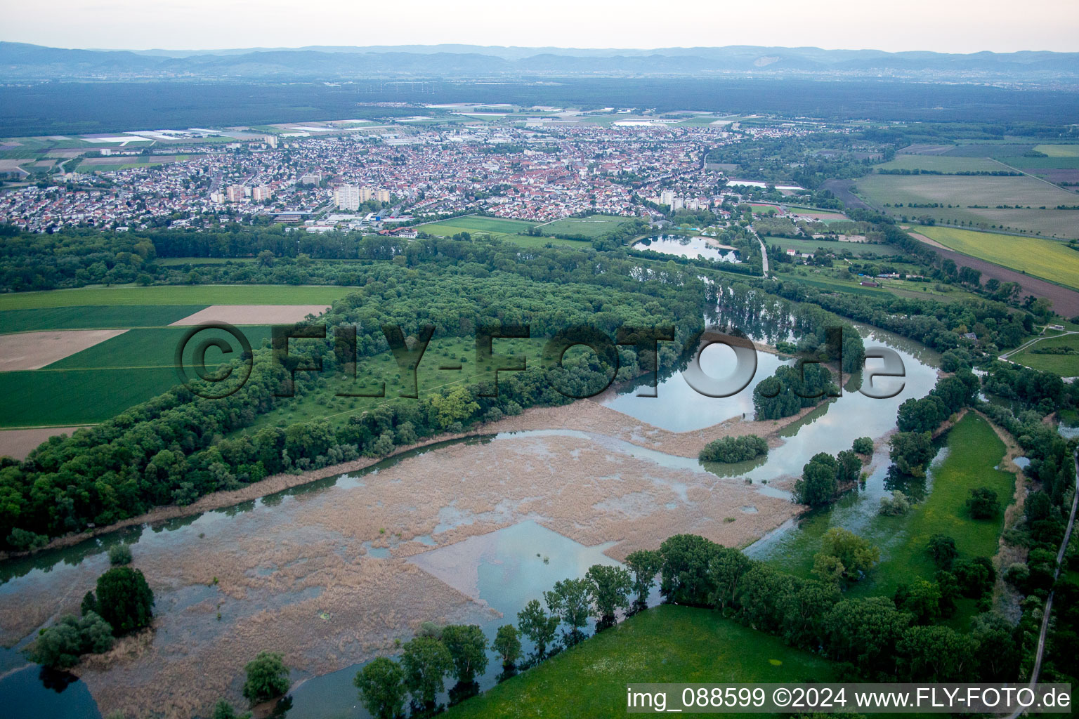 Vue aérienne de Lampertheim dans le département Hesse, Allemagne