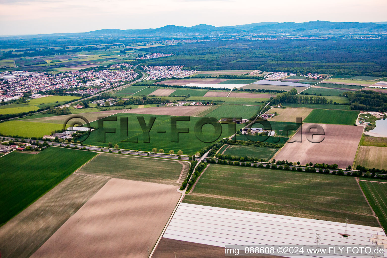 Vue aérienne de Vallée du ravin du sud-ouest à Bürstadt dans le département Hesse, Allemagne