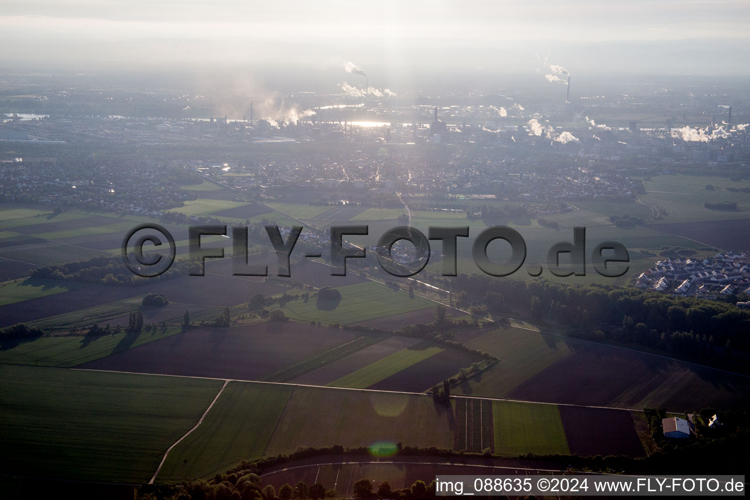 Vue aérienne de Quartier Oppau in Ludwigshafen am Rhein dans le département Rhénanie-Palatinat, Allemagne