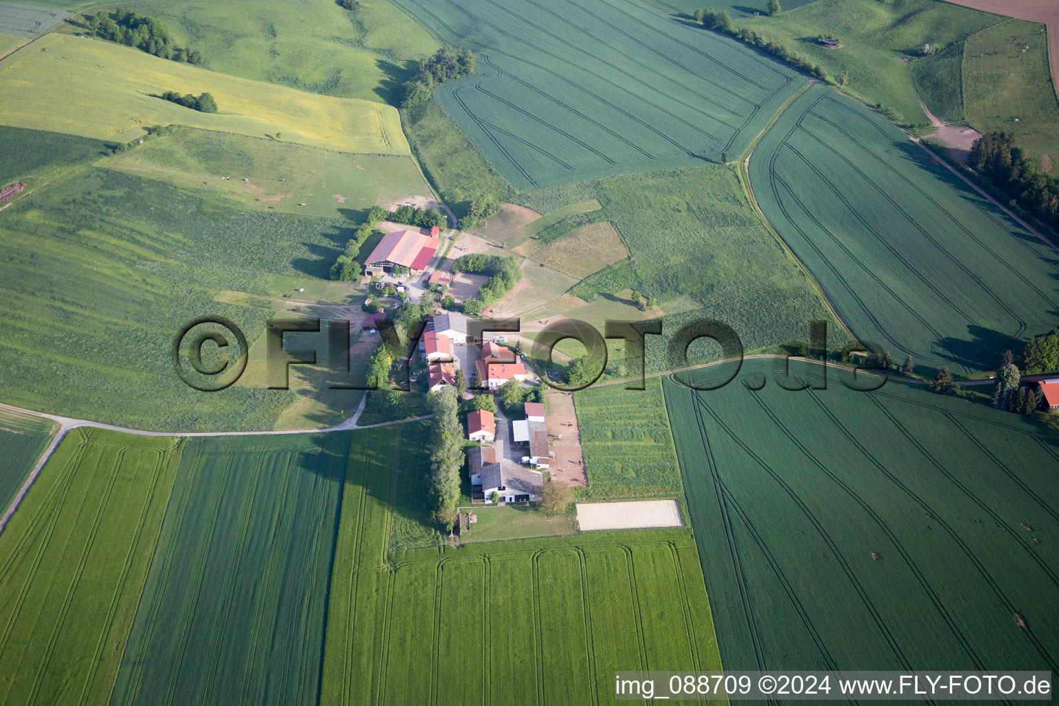 Vue aérienne de Ferme Hirtenwiese et pension pour chevaux Ährenhof à Reinheim dans le département Hesse, Allemagne