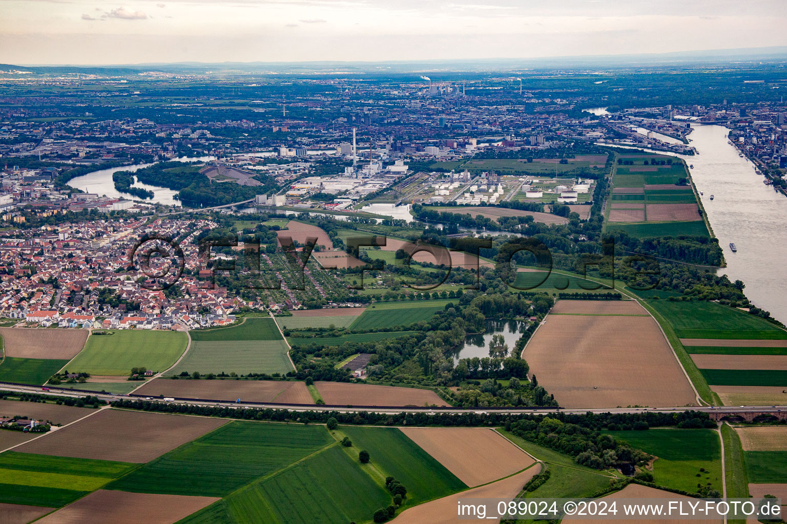 Vue aérienne de Île de Friesenheim à le quartier Sandhofen in Mannheim dans le département Bade-Wurtemberg, Allemagne