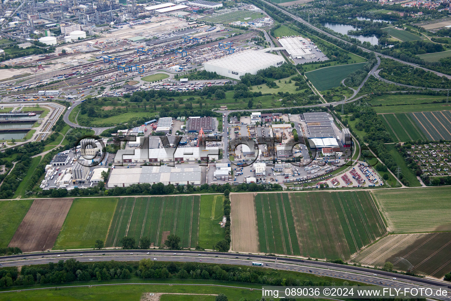 Vue aérienne de BASF à le quartier Pfingstweide in Ludwigshafen am Rhein dans le département Rhénanie-Palatinat, Allemagne