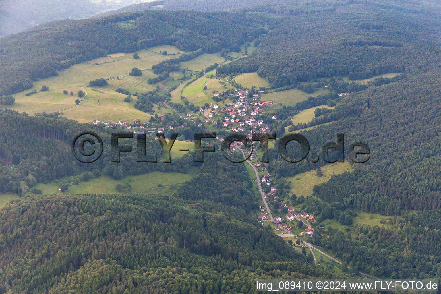 Photographie aérienne de Quartier Langenthal in Hirschhorn dans le département Hesse, Allemagne