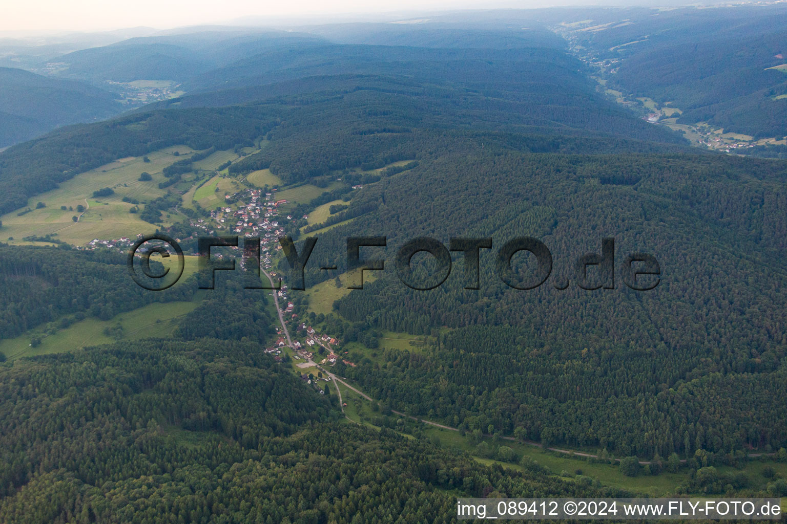 Quartier Langenthal in Hirschhorn dans le département Hesse, Allemagne d'en haut