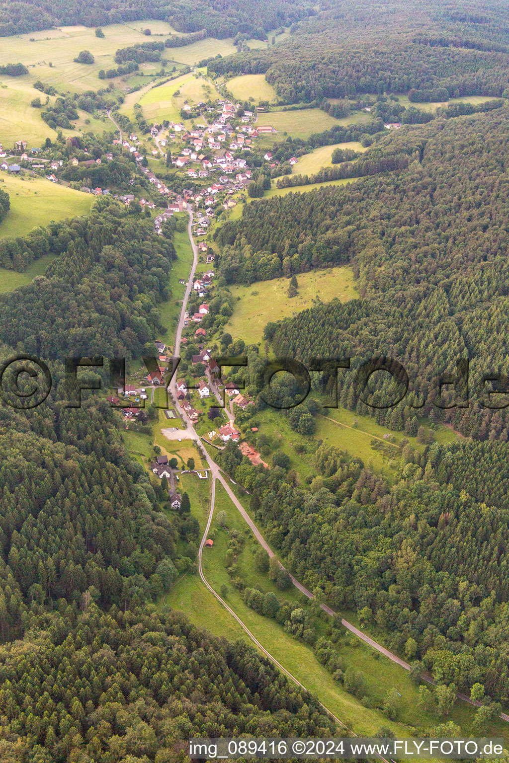 Vue d'oiseau de Quartier Langenthal in Hirschhorn dans le département Hesse, Allemagne