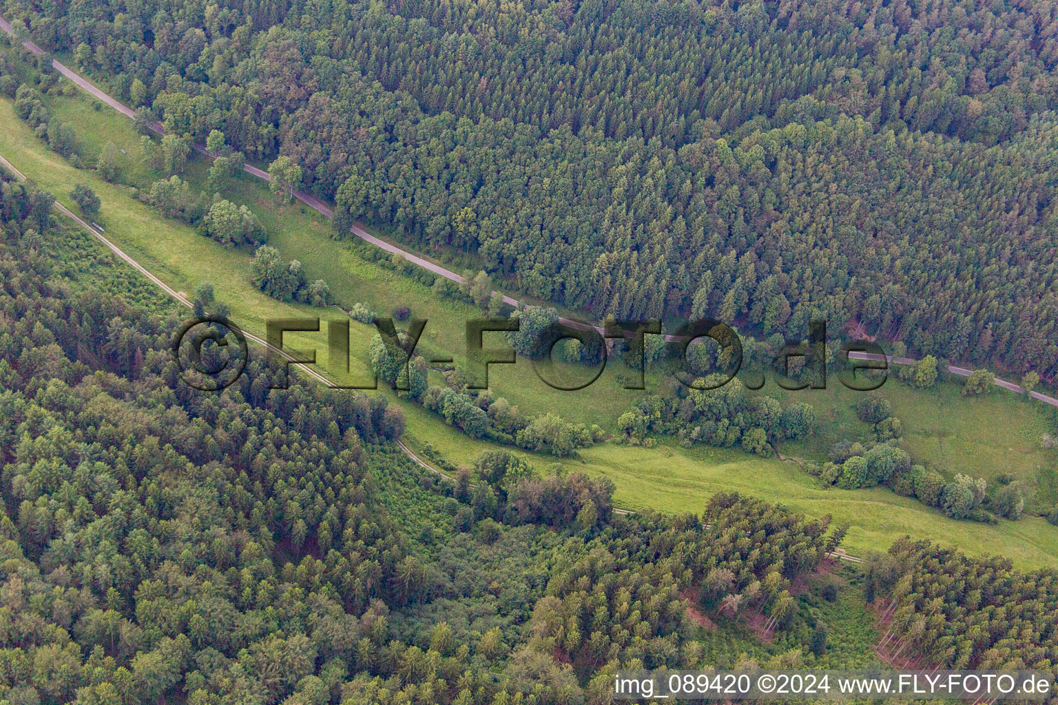 Enregistrement par drone de Quartier Langenthal in Hirschhorn dans le département Hesse, Allemagne