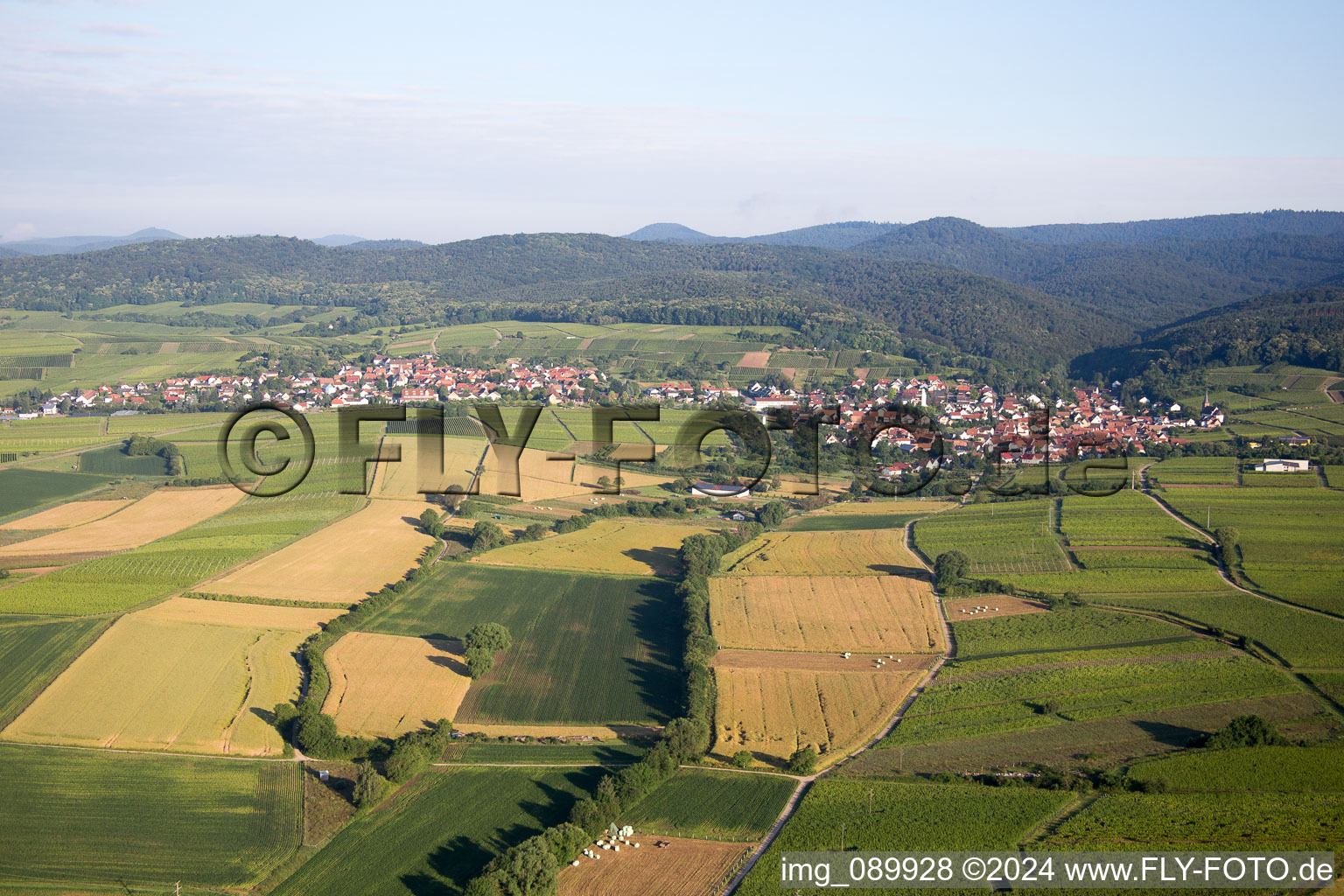 Quartier Rechtenbach in Schweigen-Rechtenbach dans le département Rhénanie-Palatinat, Allemagne vue d'en haut