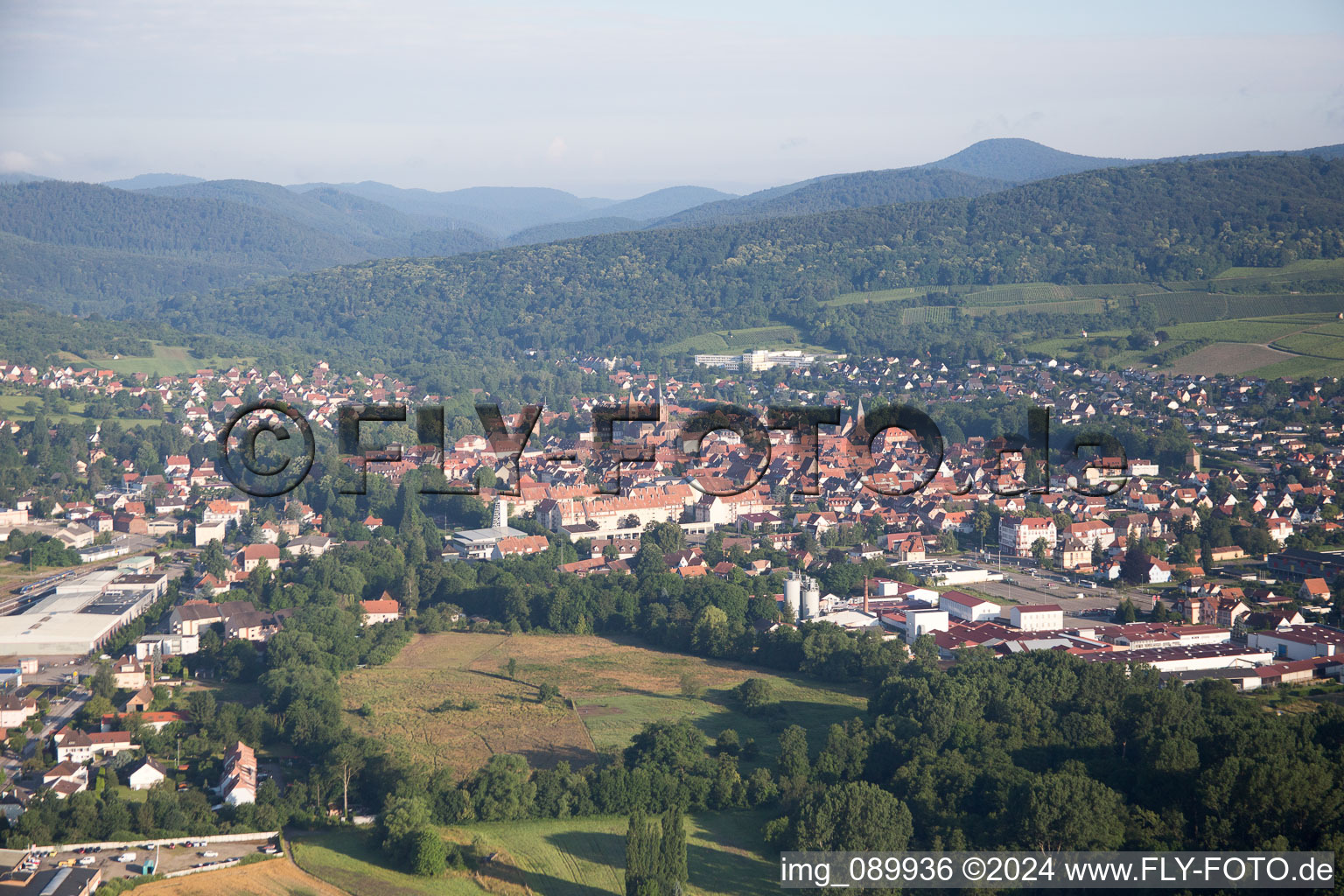 Wissembourg dans le département Bas Rhin, France d'en haut