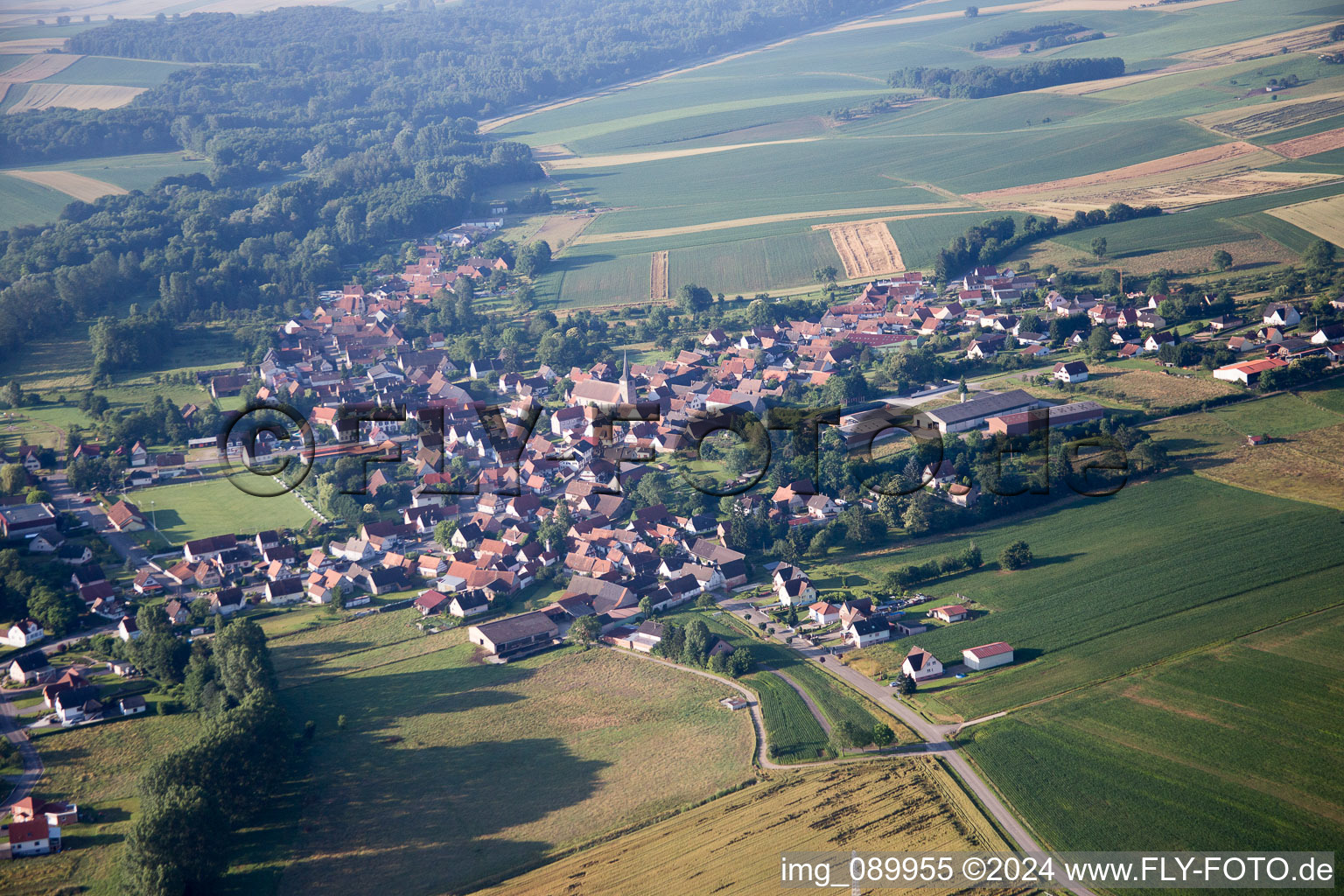 Steinseltz dans le département Bas Rhin, France vue du ciel