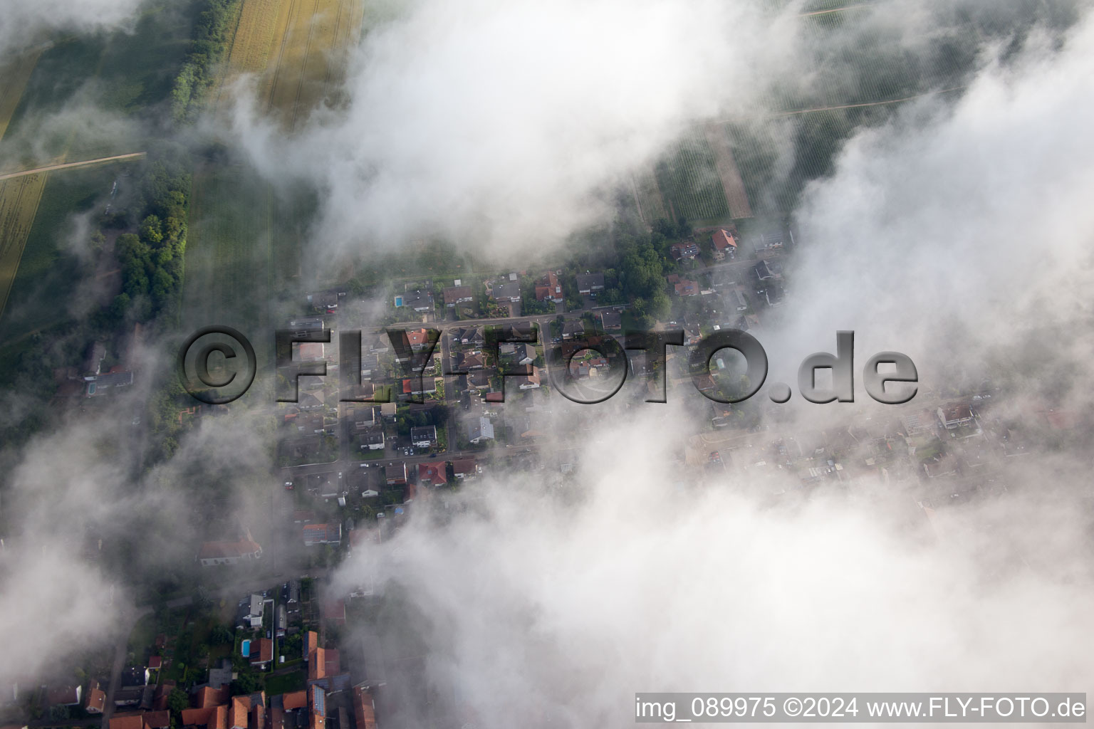 Vue d'oiseau de Freckenfeld dans le département Rhénanie-Palatinat, Allemagne