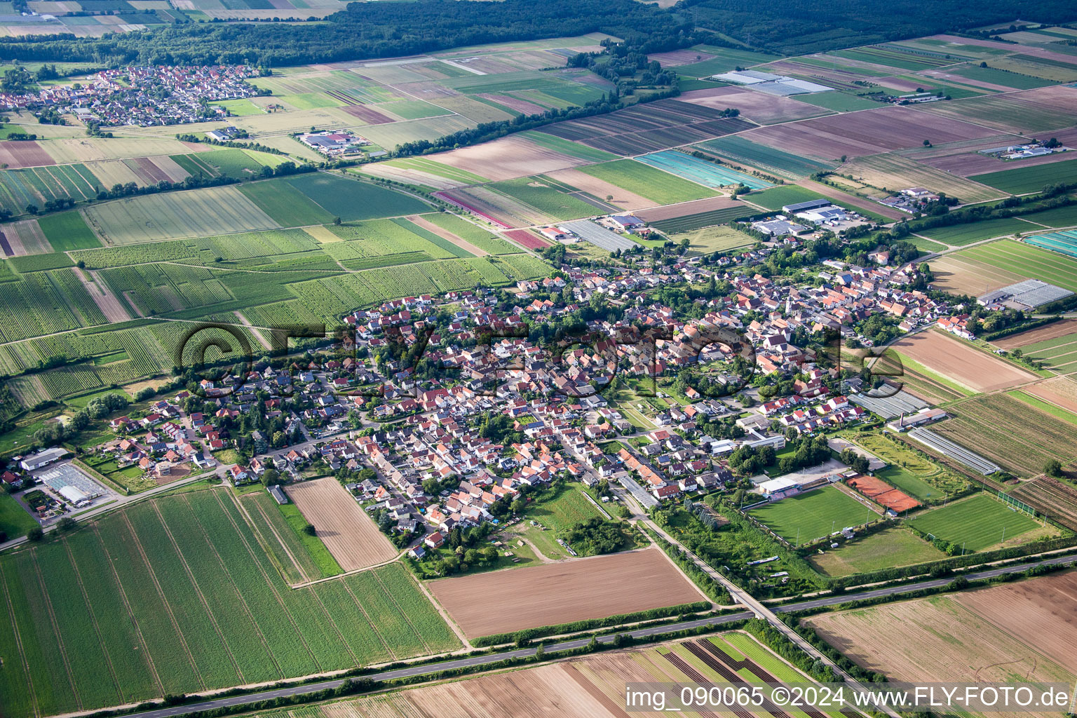 Vue aérienne de (Palatinat) à Weingarten dans le département Rhénanie-Palatinat, Allemagne