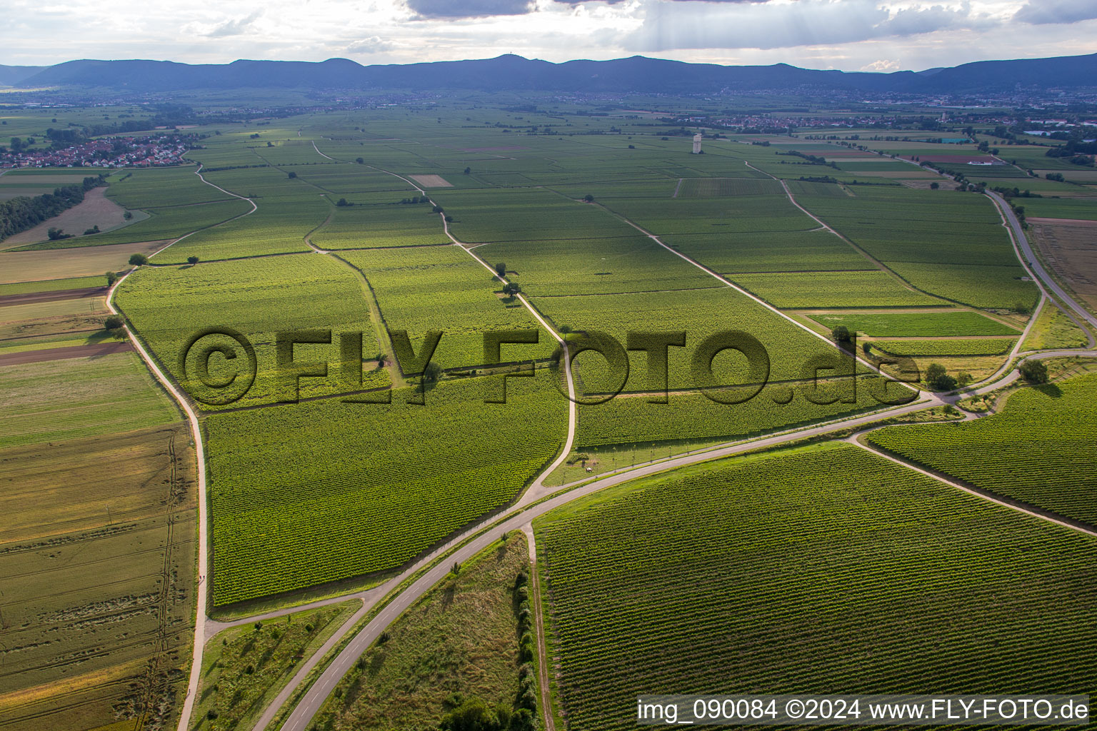 Vue aérienne de Vignobles sur la B39 à le quartier Geinsheim in Neustadt an der Weinstraße dans le département Rhénanie-Palatinat, Allemagne