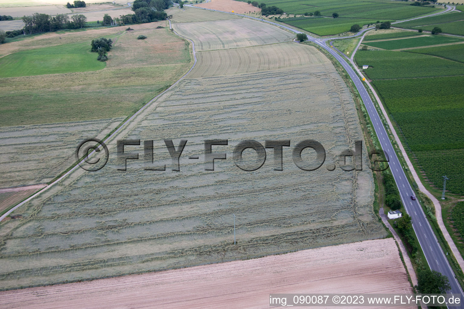 Image drone de Geinsheim dans le département Rhénanie-Palatinat, Allemagne