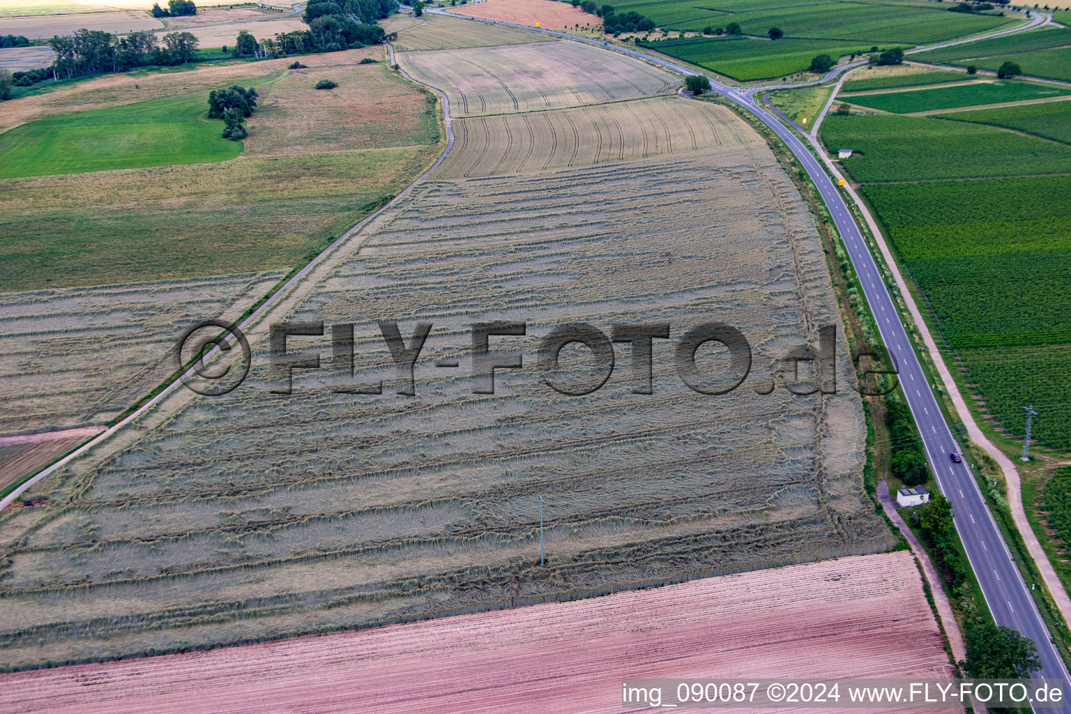 Image drone de Geinsheim dans le département Rhénanie-Palatinat, Allemagne