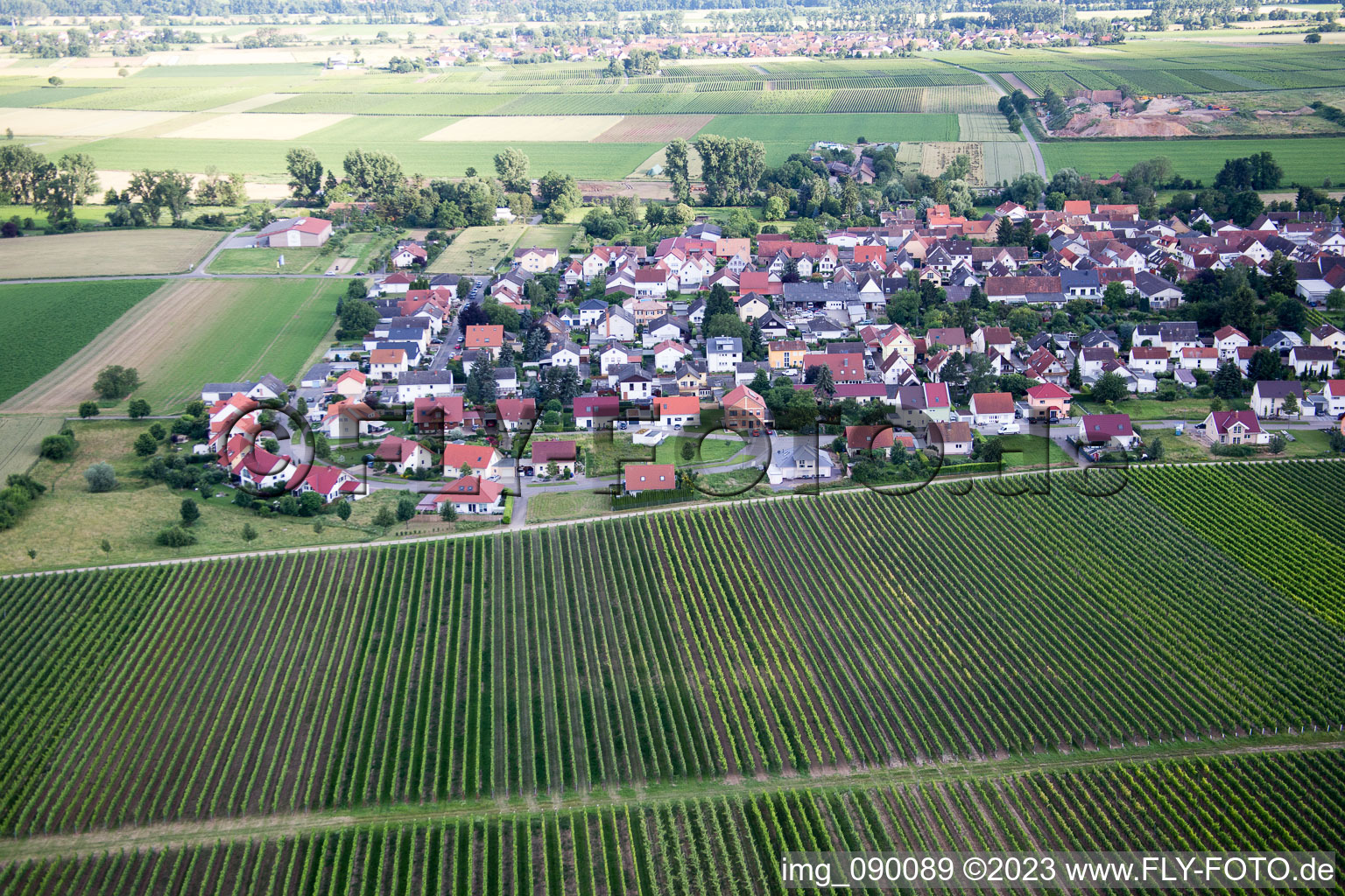 Vue oblique de Quartier Duttweiler in Neustadt an der Weinstraße dans le département Rhénanie-Palatinat, Allemagne