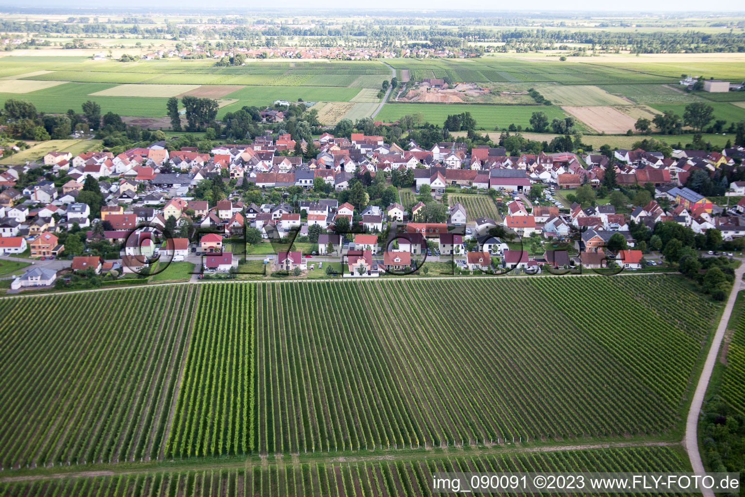 Quartier Duttweiler in Neustadt an der Weinstraße dans le département Rhénanie-Palatinat, Allemagne hors des airs