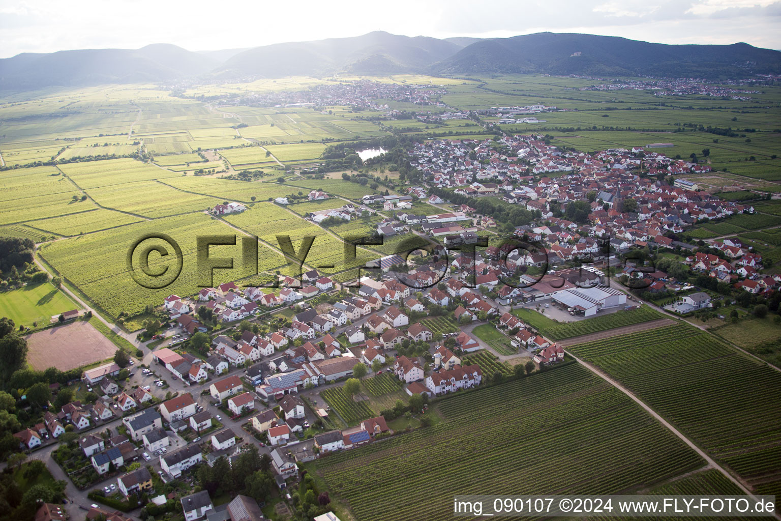 Kirrweiler dans le département Rhénanie-Palatinat, Allemagne vu d'un drone