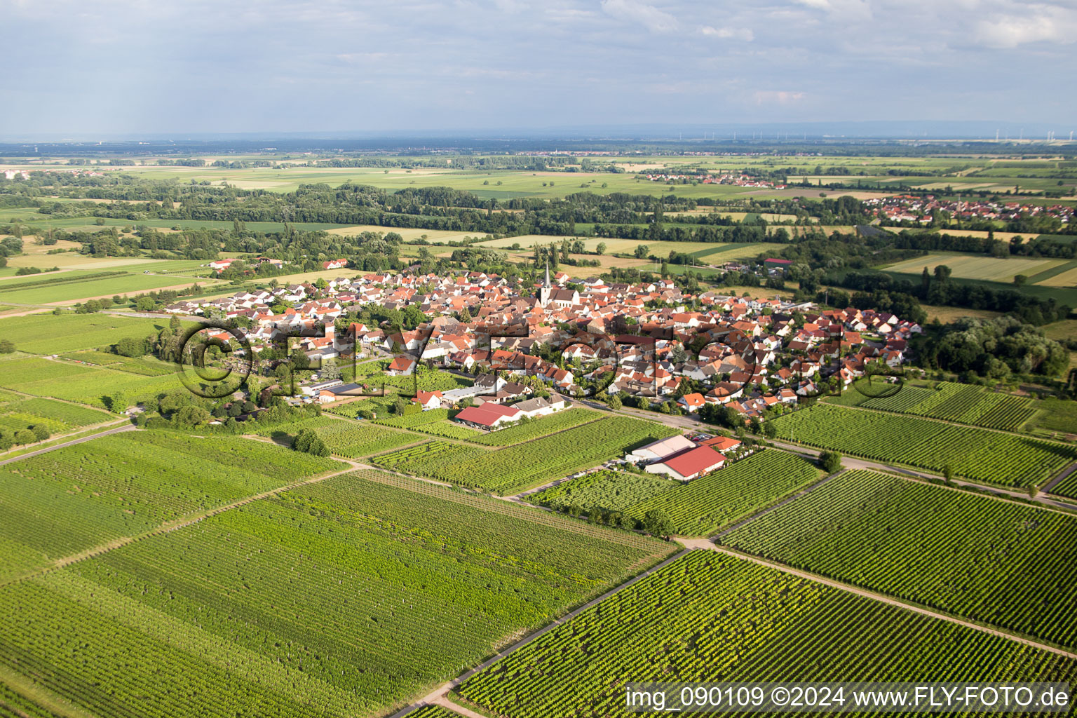 Venningen dans le département Rhénanie-Palatinat, Allemagne depuis l'avion