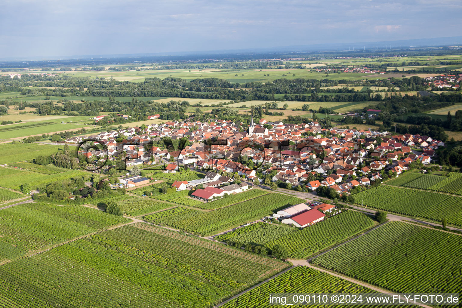 Vue d'oiseau de Venningen dans le département Rhénanie-Palatinat, Allemagne