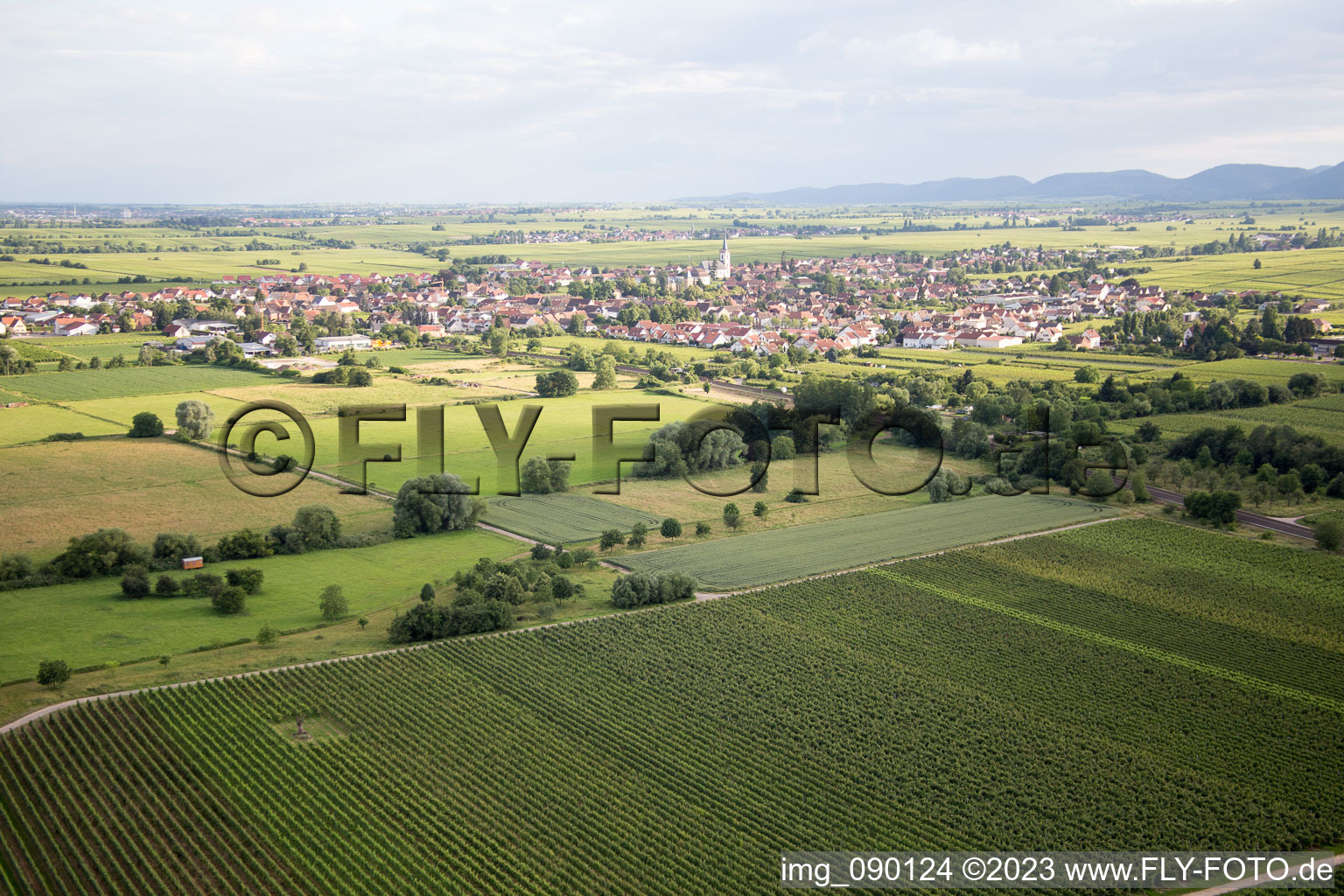 Image drone de Edesheim dans le département Rhénanie-Palatinat, Allemagne