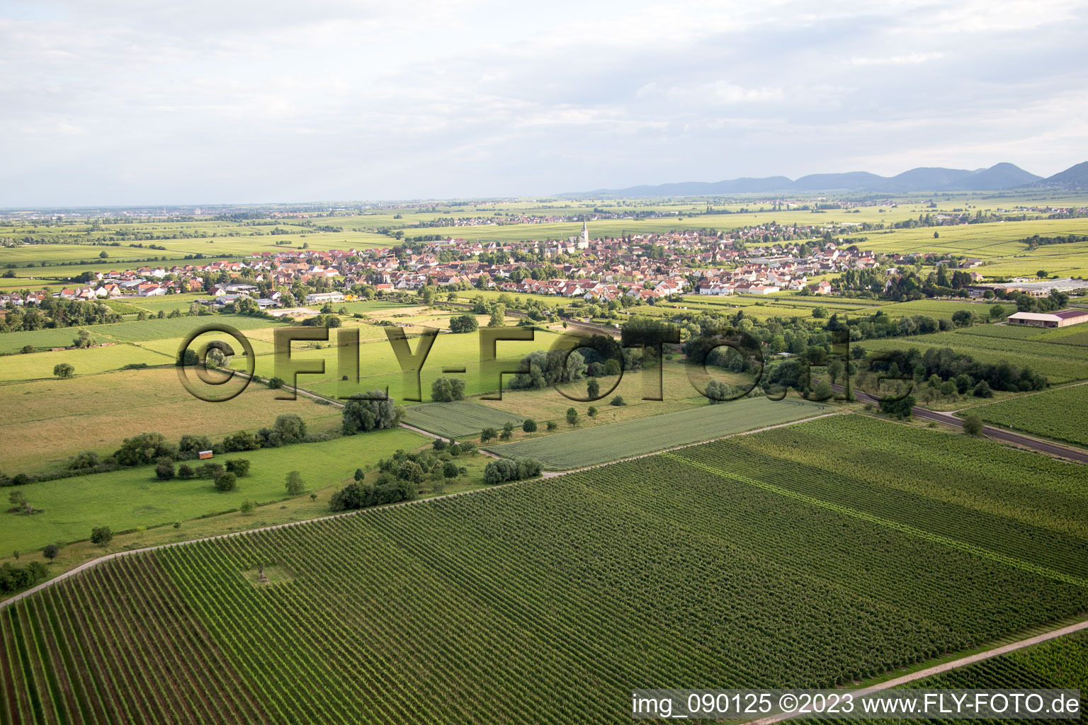 Edesheim dans le département Rhénanie-Palatinat, Allemagne du point de vue du drone