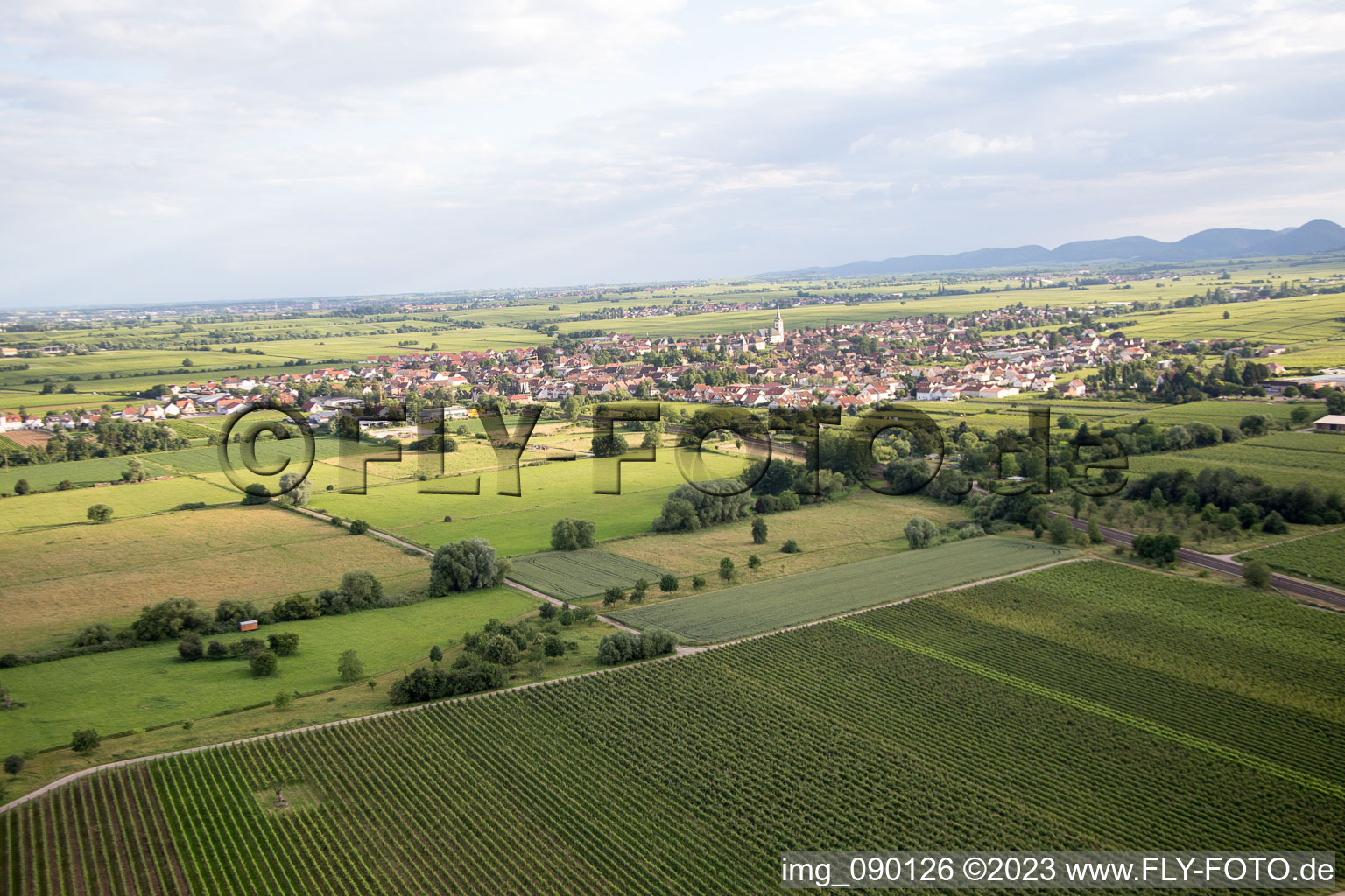 Edesheim dans le département Rhénanie-Palatinat, Allemagne d'un drone