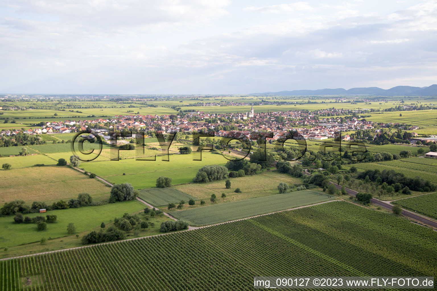 Edesheim dans le département Rhénanie-Palatinat, Allemagne vu d'un drone