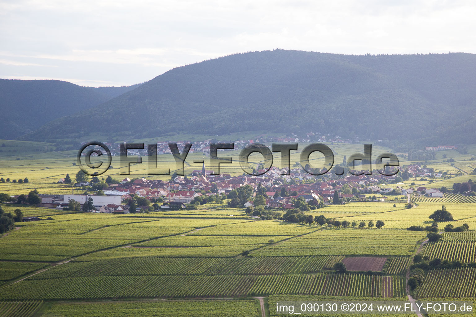 Vue aérienne de Rhodt unter Rietburg dans le département Rhénanie-Palatinat, Allemagne