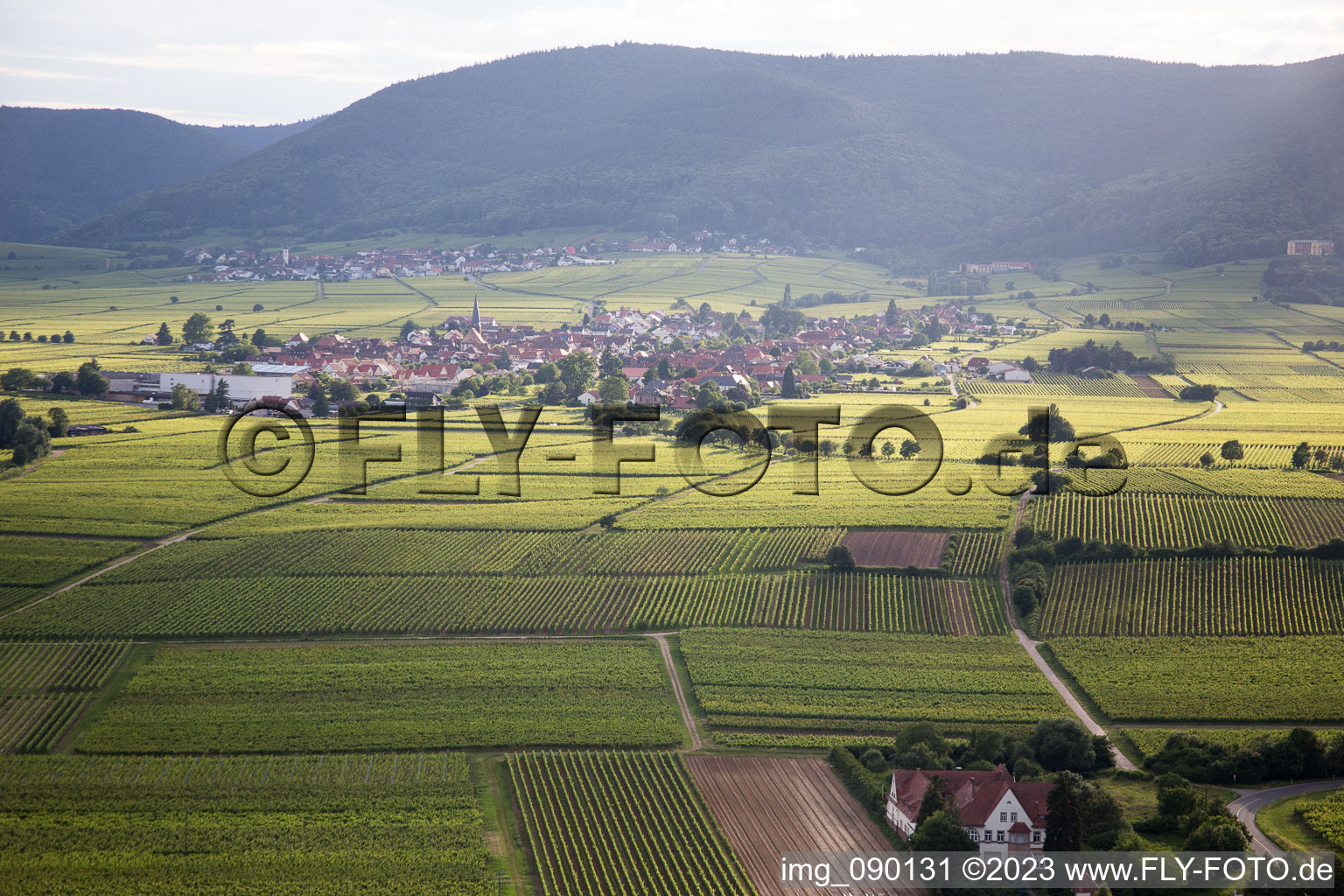 Photographie aérienne de Rhodt unter Rietburg dans le département Rhénanie-Palatinat, Allemagne