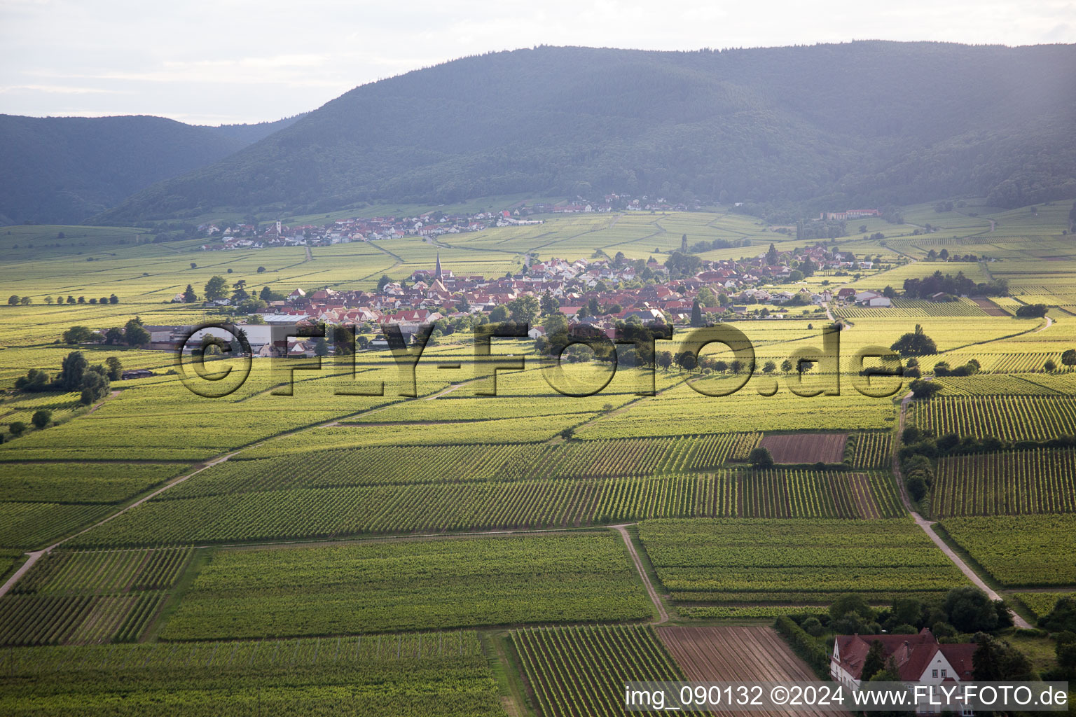 Vue oblique de Rhodt unter Rietburg dans le département Rhénanie-Palatinat, Allemagne