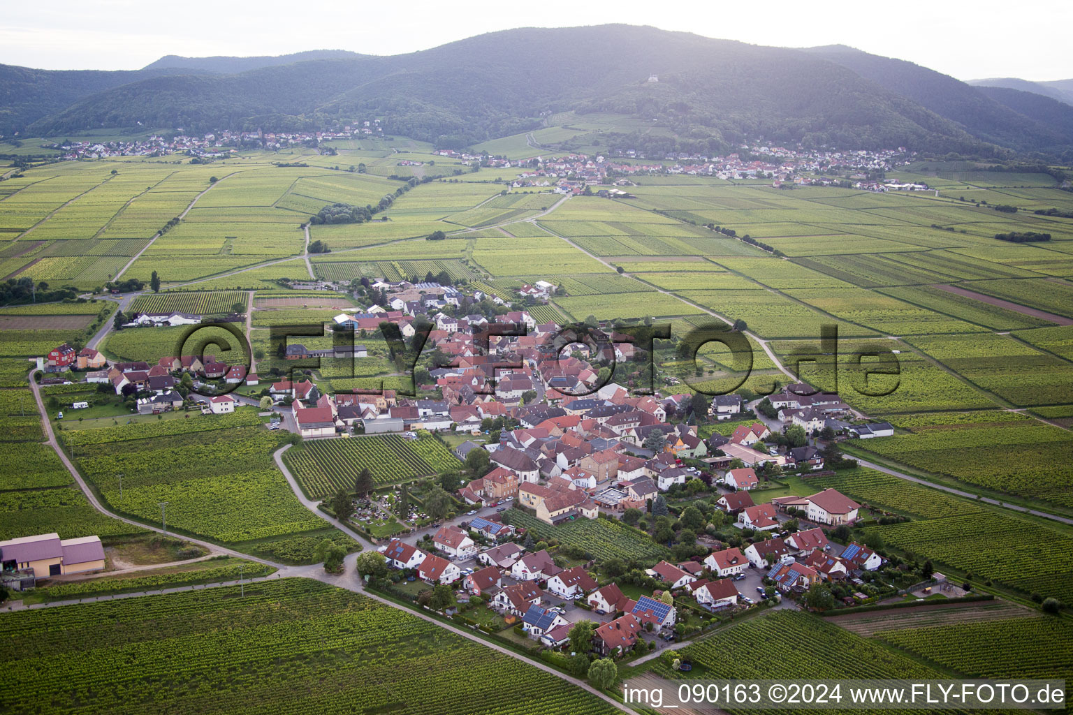 Vue aérienne de Vignobles à Flemlingen dans le département Rhénanie-Palatinat, Allemagne