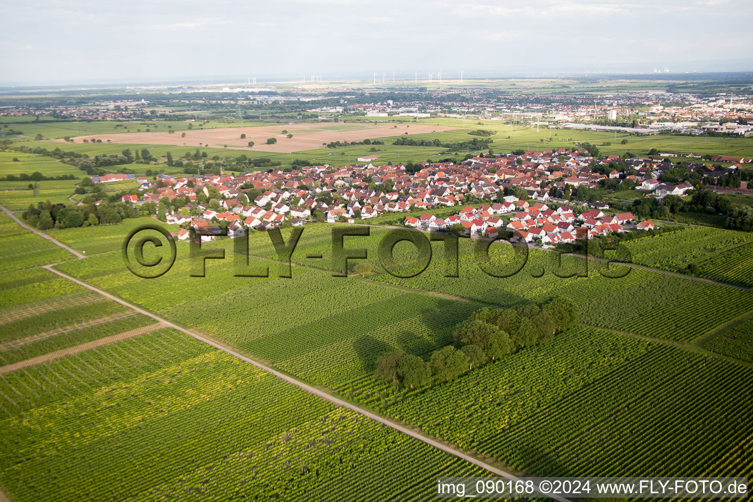 Photographie aérienne de Quartier Nußdorf in Landau in der Pfalz dans le département Rhénanie-Palatinat, Allemagne