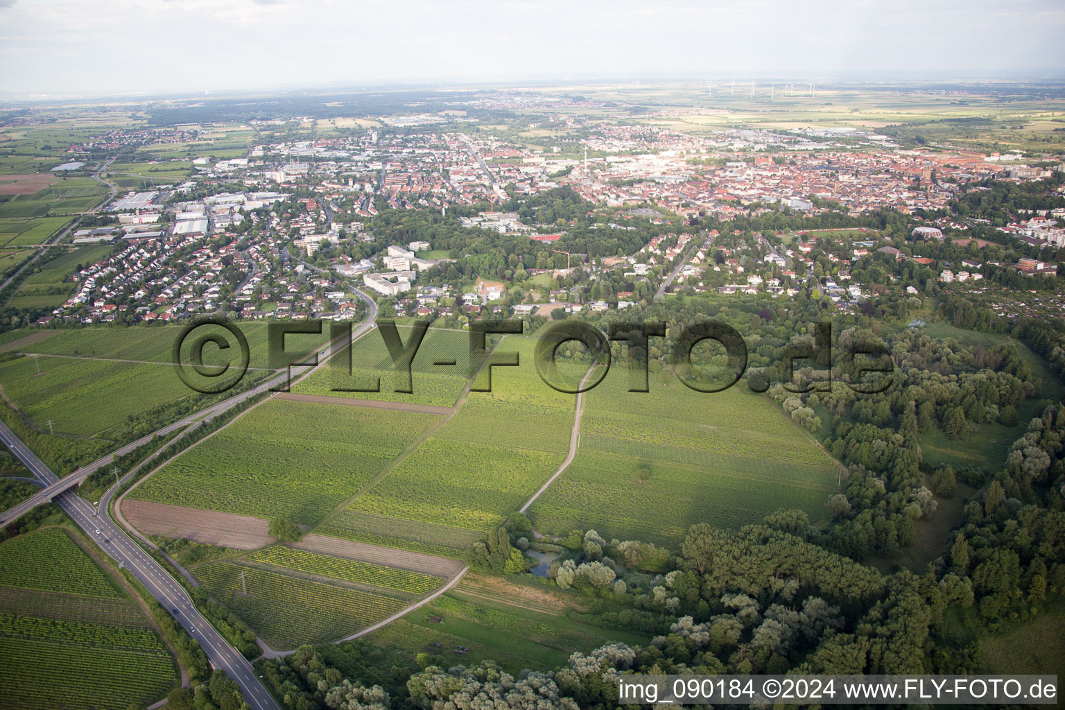 Landau in der Pfalz dans le département Rhénanie-Palatinat, Allemagne depuis l'avion