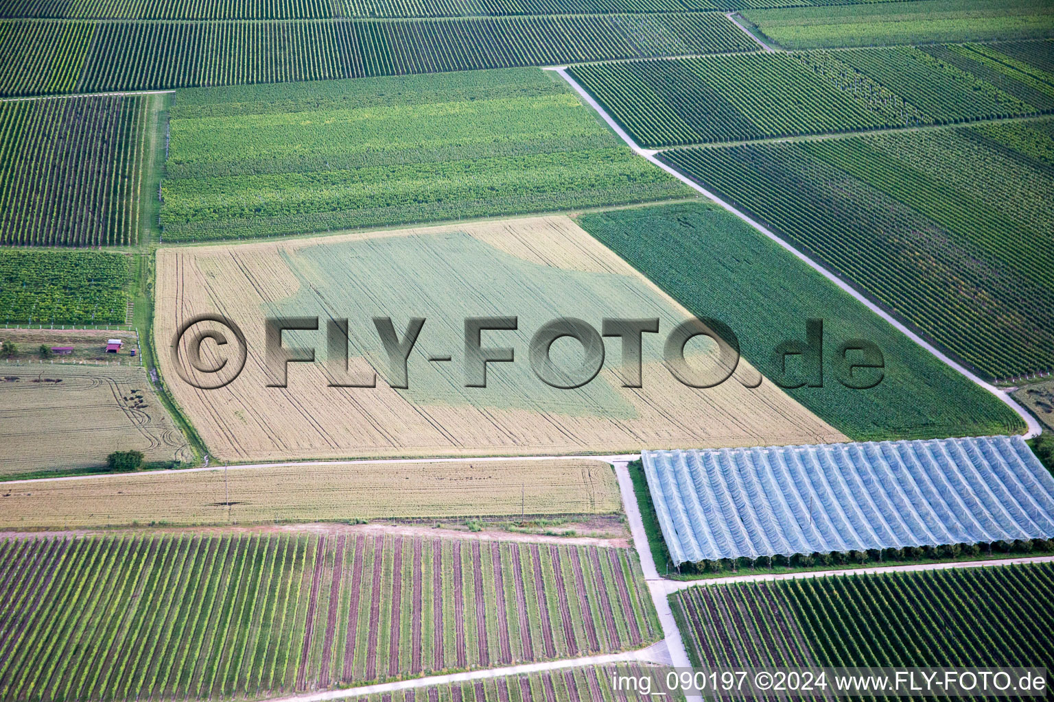 Impflingen dans le département Rhénanie-Palatinat, Allemagne depuis l'avion