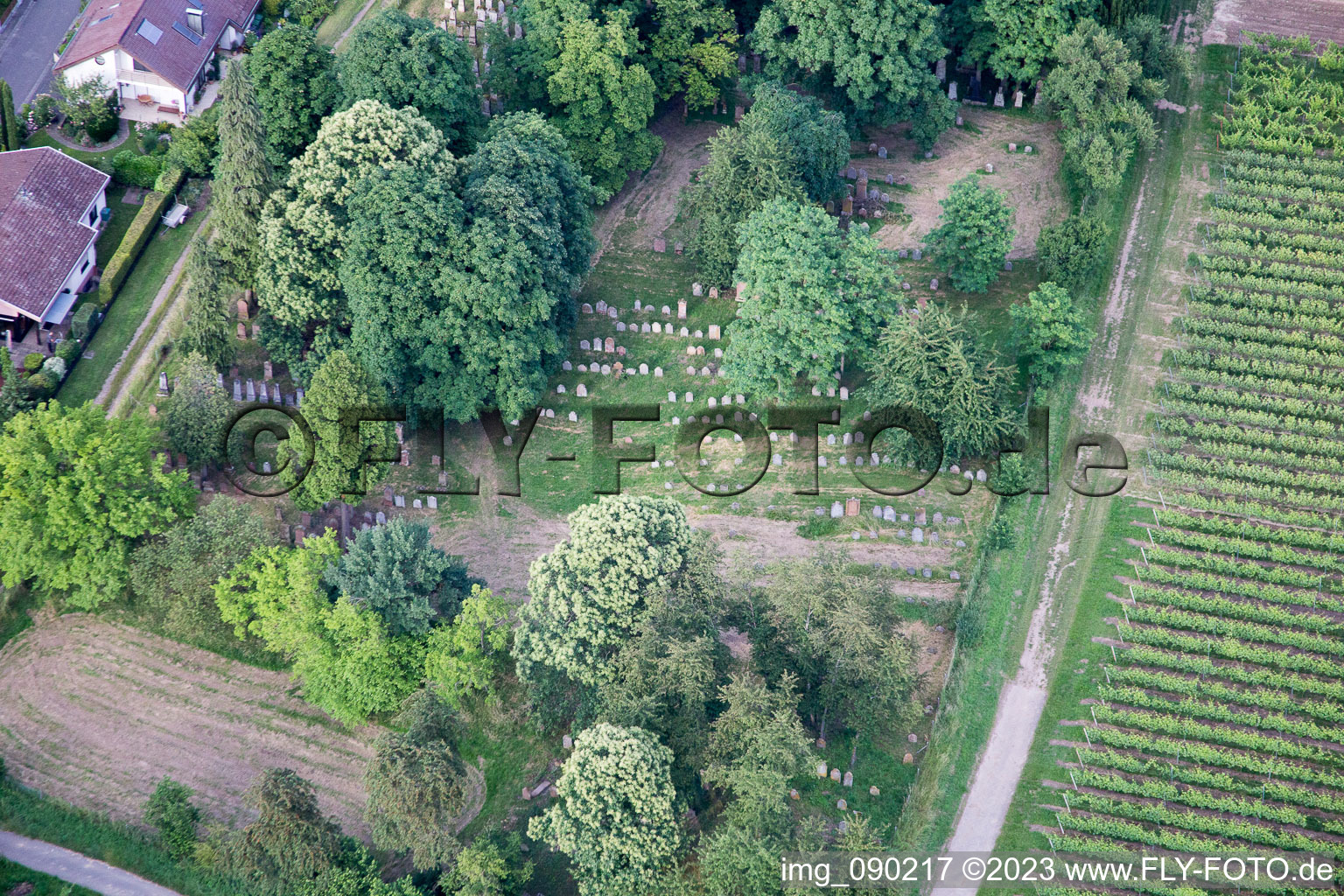 Vue aérienne de Vieux cimetière à le quartier Ingenheim in Billigheim-Ingenheim dans le département Rhénanie-Palatinat, Allemagne