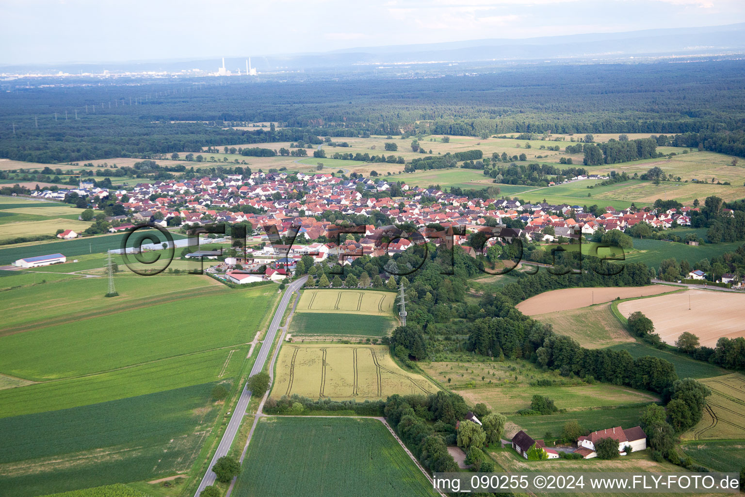 Vue d'oiseau de Minfeld dans le département Rhénanie-Palatinat, Allemagne