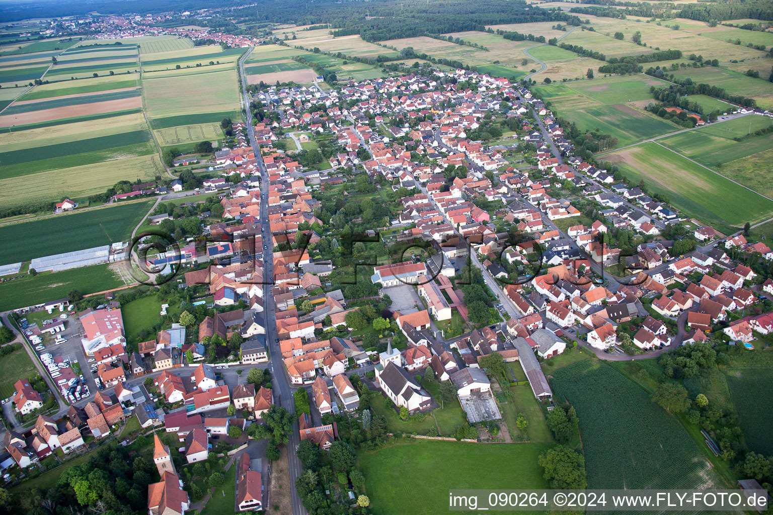 Vue aérienne de Minfeld dans le département Rhénanie-Palatinat, Allemagne