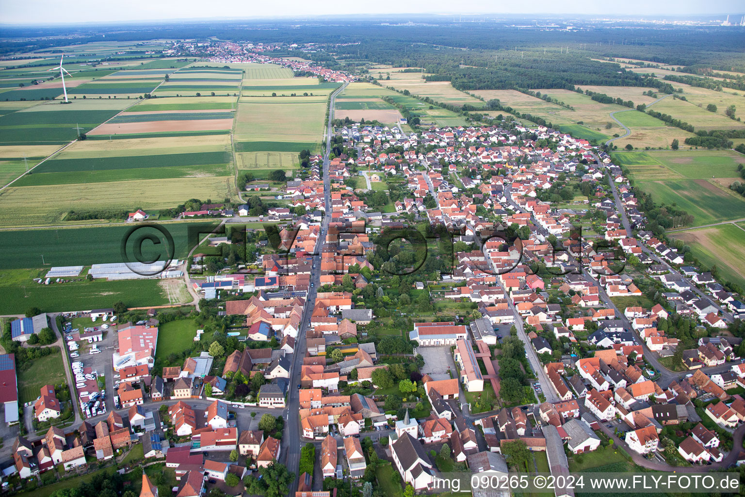 Photographie aérienne de Minfeld dans le département Rhénanie-Palatinat, Allemagne