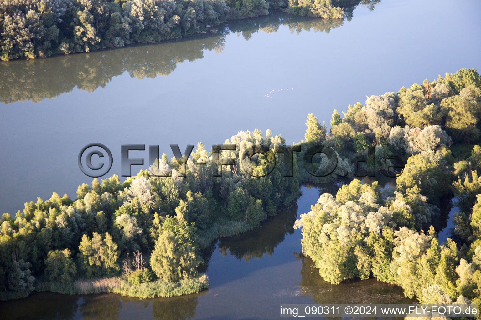 Vue aérienne de Forêt d'Isarau à le quartier Oberhöcking in Landau an der Isar dans le département Bavière, Allemagne