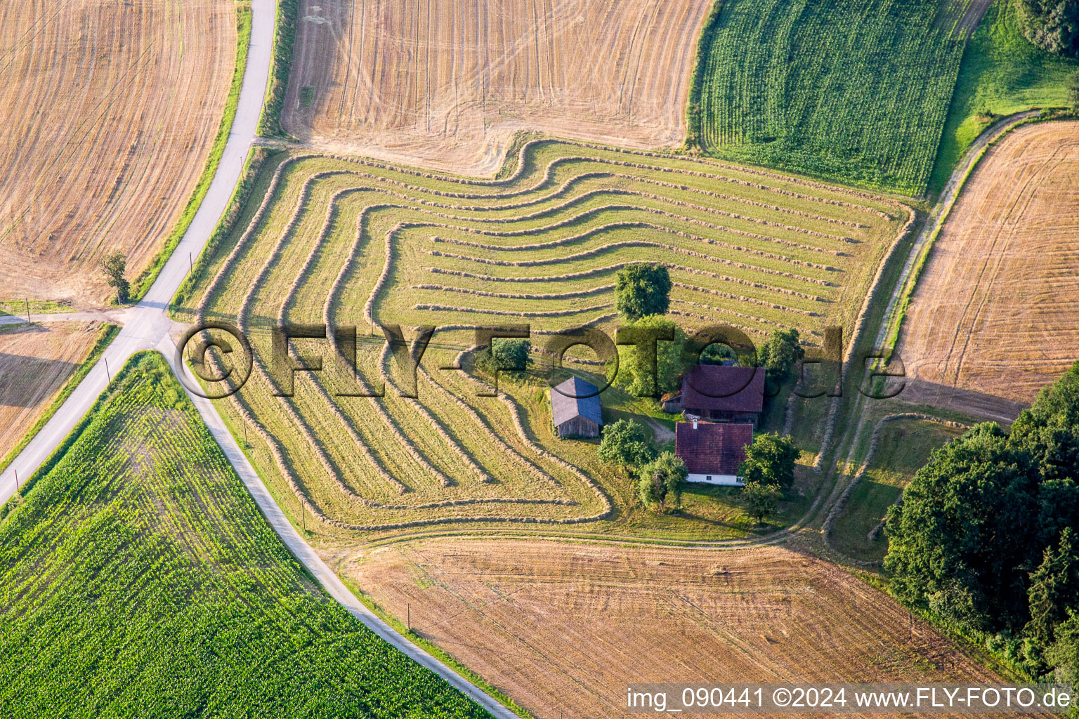 Vue aérienne de Ferme en bordure de prairies tondues à le quartier Altersberg in Reisbach dans le département Bavière, Allemagne