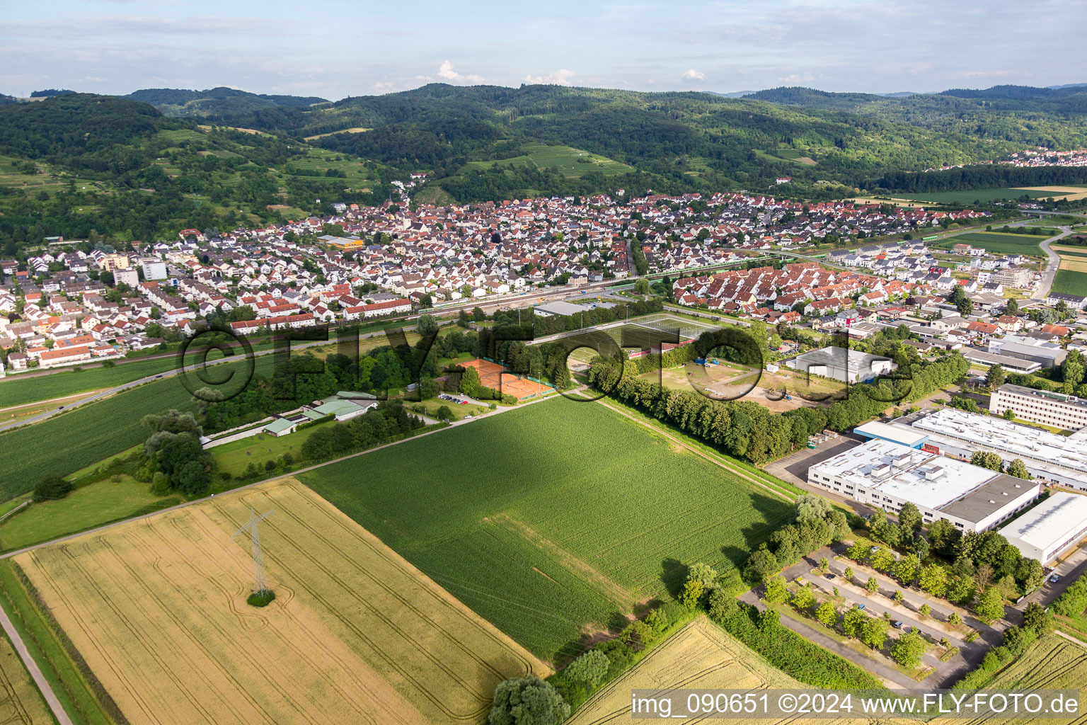 Vue aérienne de Sur la Bergstrasse à Laudenbach dans le département Bade-Wurtemberg, Allemagne