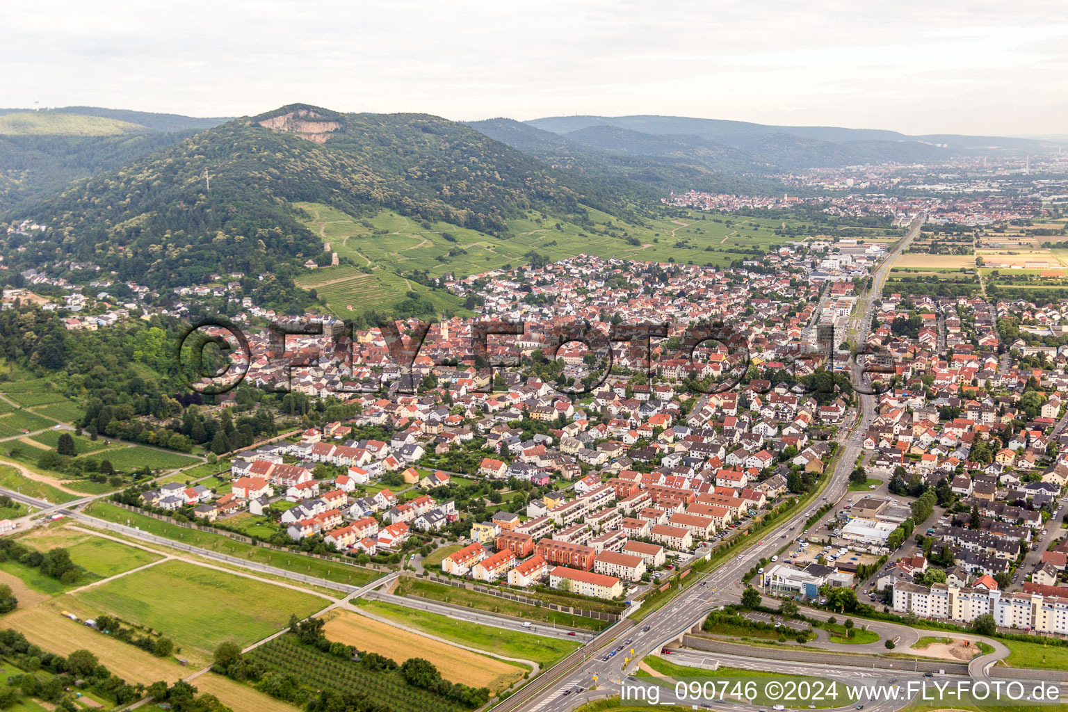 Vue aérienne de Vue des rues et des maisons des quartiers résidentiels à Schriesheim dans le département Bade-Wurtemberg, Allemagne