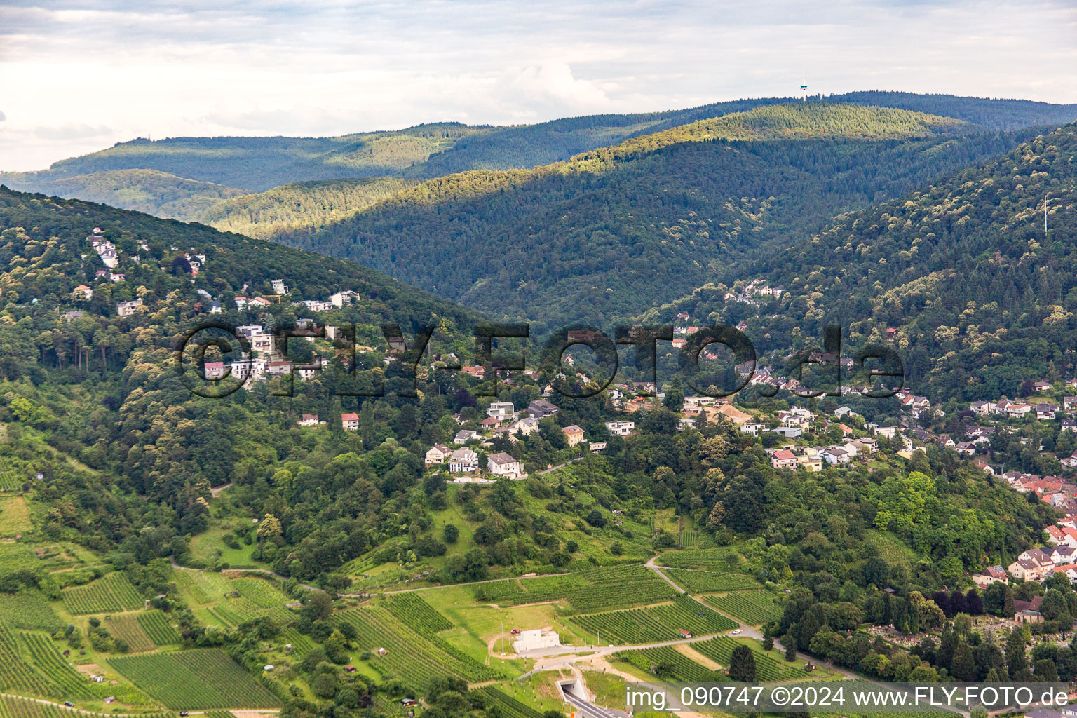 Vue aérienne de Villas sur le Branichhang à Schriesheim dans le département Bade-Wurtemberg, Allemagne