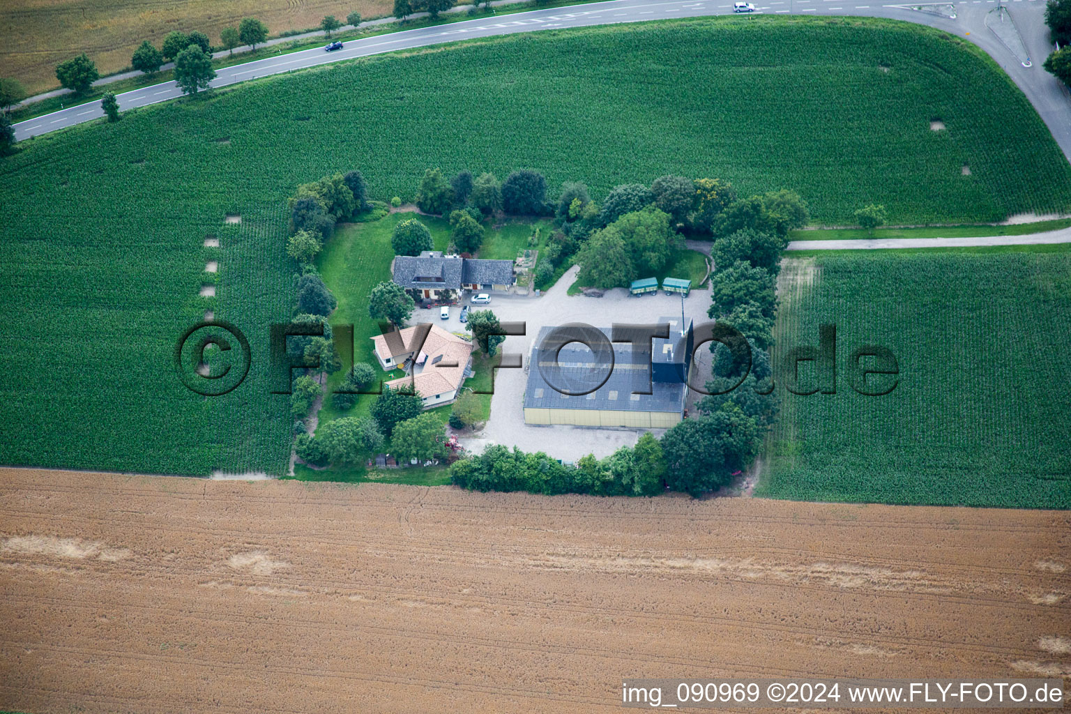 Photographie aérienne de Rexhof à Altrip dans le département Rhénanie-Palatinat, Allemagne