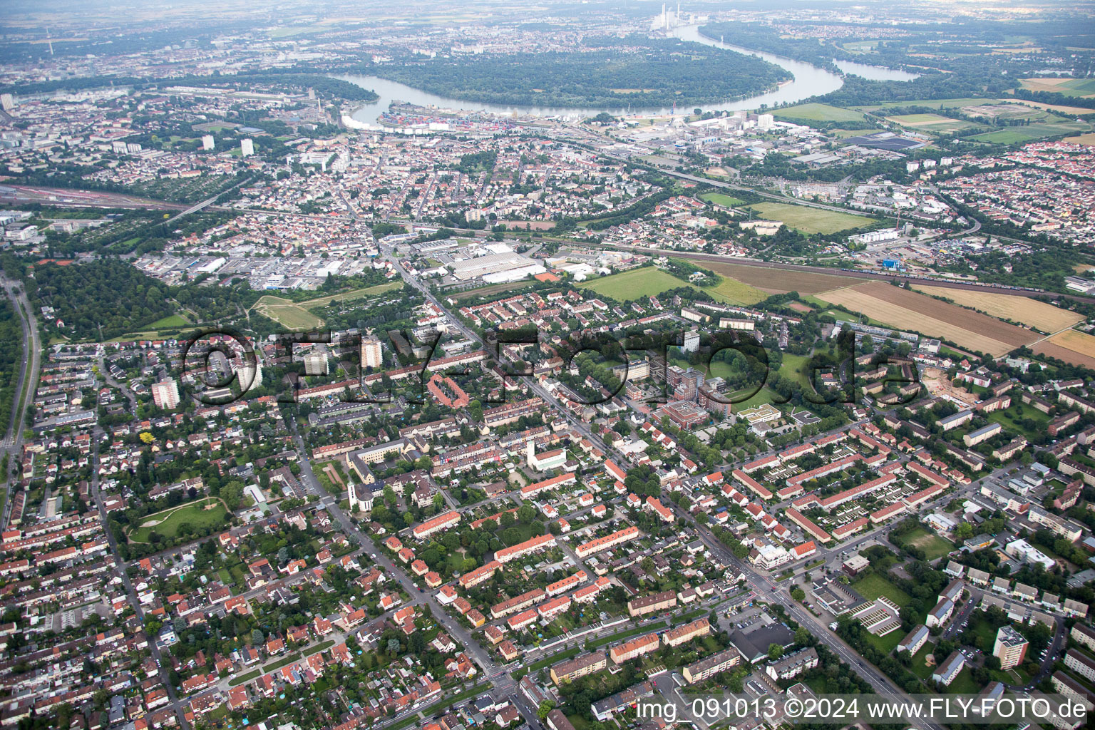 Vue oblique de Quartier Gartenstadt in Ludwigshafen am Rhein dans le département Rhénanie-Palatinat, Allemagne