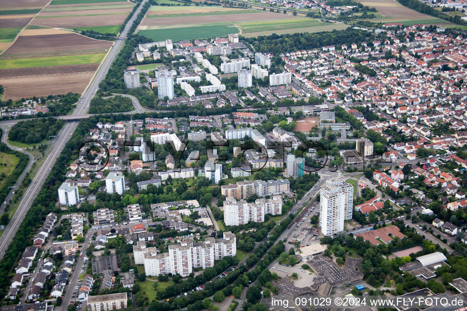 Quartier Oggersheim in Ludwigshafen am Rhein dans le département Rhénanie-Palatinat, Allemagne hors des airs