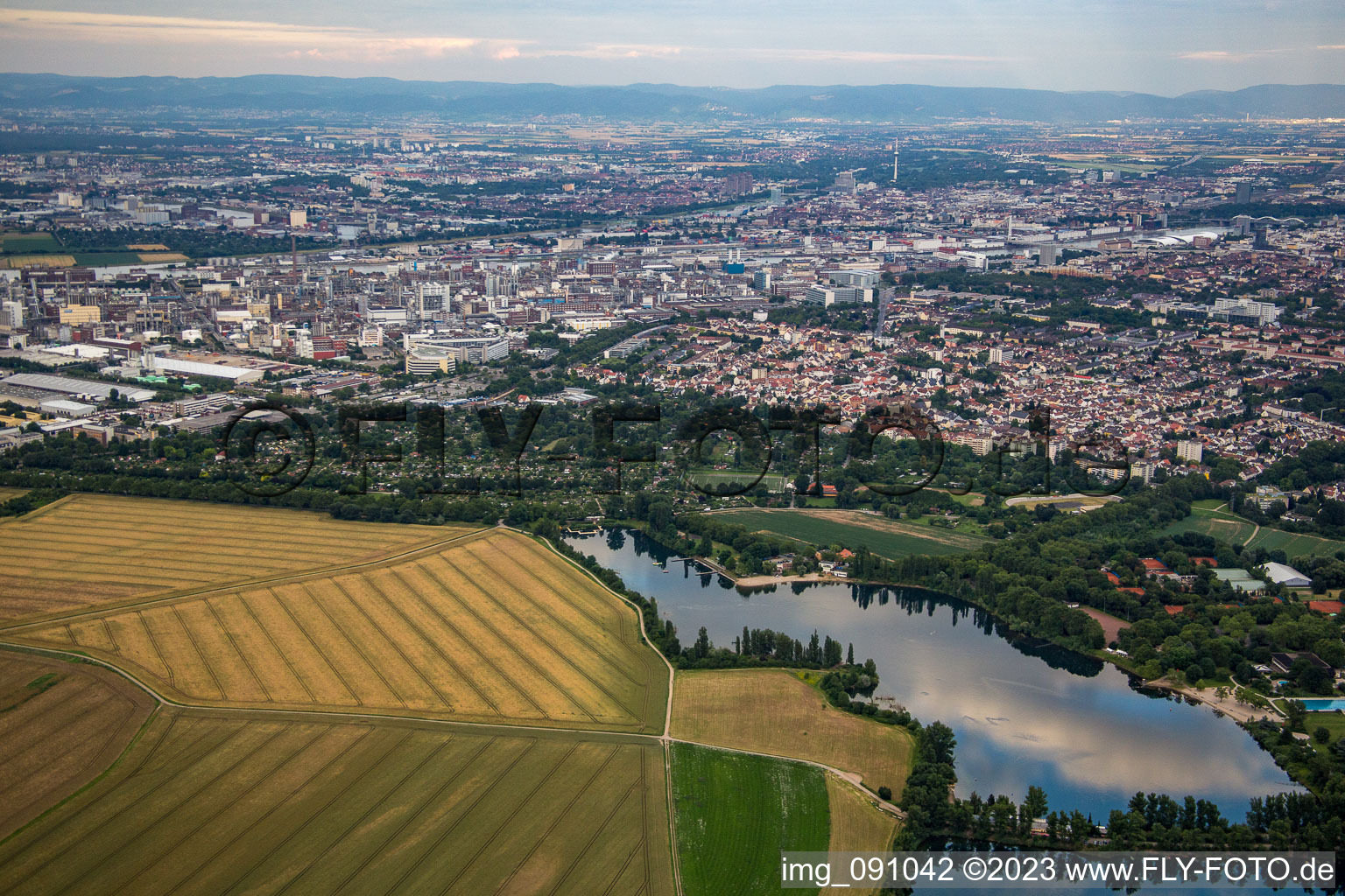 Vue aérienne de BASF de l'ouest à le quartier Friesenheim in Ludwigshafen am Rhein dans le département Rhénanie-Palatinat, Allemagne